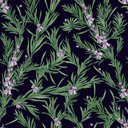 Natural seamless pattern with green rosemary plants and blooming flowers on black background. Wild herb hand drawn in vintage style. Vector illustration for wallpaper, textile print, backdropのイラスト素材