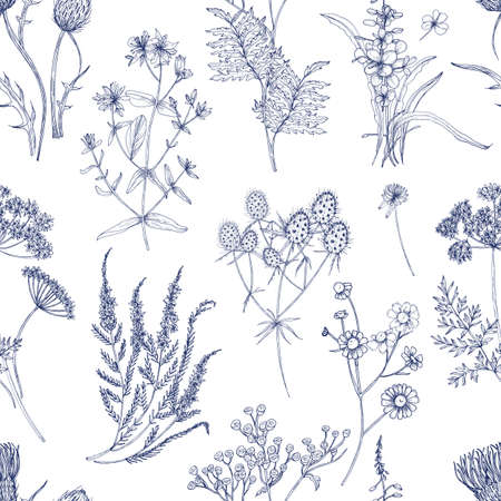 Botanical seamless pattern with meadow herbs, flowering plants and blooming wild flowers hand drawn with blue lines on white background. Natural vector illustration in vintage style for fabric print.のイラスト素材