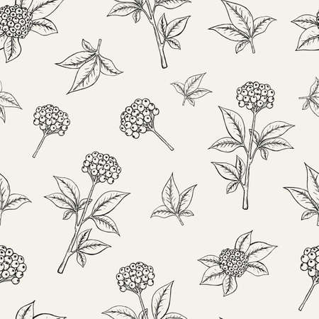 Lovely botanical seamless pattern with ginseng berries growing on stem with leaves on white . Exotic plants with ripened fruits. Monochrome illustration for fabric print, wallpaper.のイラスト素材