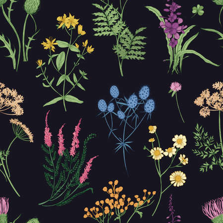 Floral seamless pattern with colorful forest herbs, herbaceous plants and blooming wild flowers on black background. Botanical vector illustration for textile print, wallpaper, wrapping paper.のイラスト素材