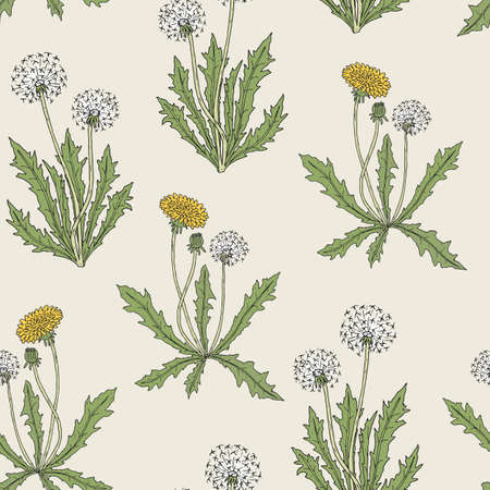 Gorgeous colored botanical seamless pattern with blooming dandelion plants, yellow flowers, seed heads and leaves hand drawn in retro style. Natural vector illustration for fabric print, wallpaperのイラスト素材