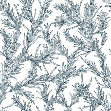 Natural seamless pattern with outline rosemary plants and flowers. Wild herb hand drawn in vintage style. Vector monochrome background.のイラスト素材