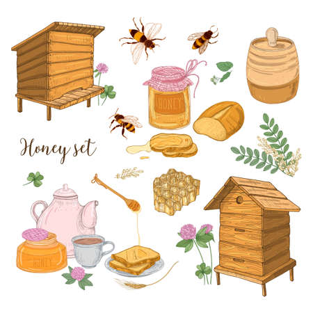 Honey production, beekeeping or apiculture set - honeycomb, man-made beehives, wooden dipper, bees, teapot hand drawn in retro style on white background. Colored vector illustration.のイラスト素材