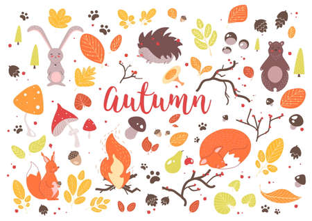 Collection of colorful autumn leaves, branches, cones, acorns, nuts, fruits, berries, mushrooms, burning bonfire and cute cartoon forest animals isolated on white background.のイラスト素材