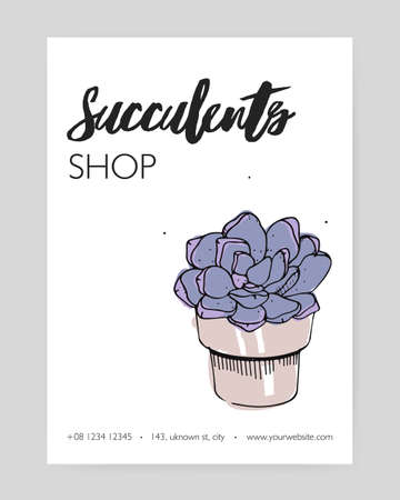 Flyer template with hand drawn echeveria growing in clay pot and place for text on white background. Stone rose, potted desert plant, decorative houseplant. Vector illustration for succulent shop adのイラスト素材