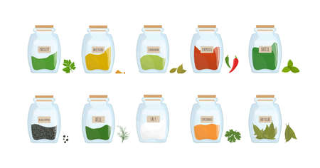 Collection of spices stored in clear closed jars isolated on white background. Bundle of spicy condiments, piquant cooking ingredients in transparent kitchen containers.のイラスト素材