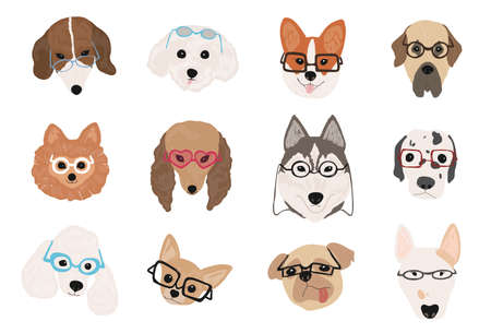Collection of cute dogs of various breeds wearing glasses and sunglasses of different styles. Bundle of funny cartoon pet animal faces or heads isolated on white background. Vector illustration.のイラスト素材