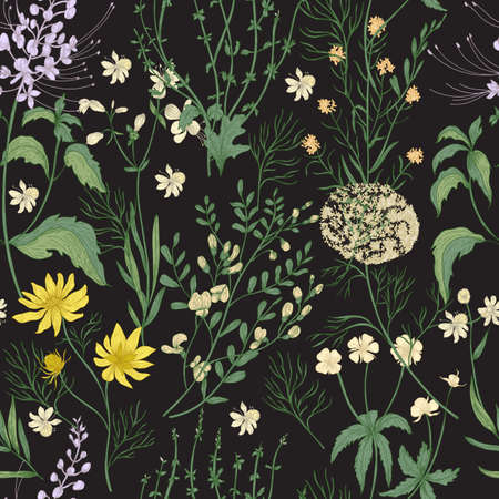 Elegant floral seamless pattern with gorgeous hand drawn wild flowers, tender flowering herbs and herbaceous plants on black background. Botanical vector illustration in beautiful antique style.の写真素材