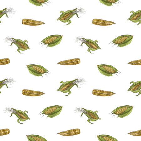 Natural seamless pattern with realistic hand drawn cobs of sweet corn on white background. Backdrop with fresh organic corncobs and leaves. Elegant vector illustration for textile print, wallpaper.のイラスト素材