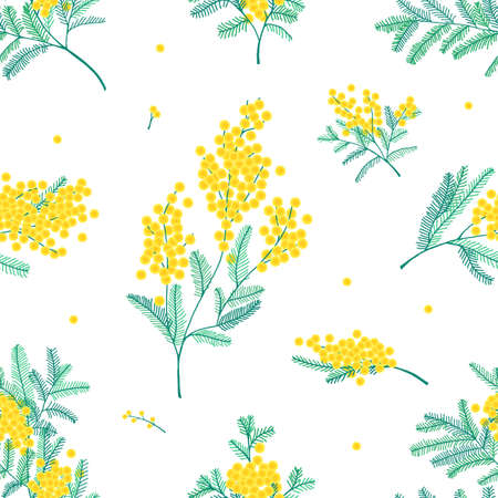 Botanical seamless pattern with yellow mimosa flowers and leaves on white background. Backdrop with elegant flowering plants. Natural vector illustration for textile print, wallpaper, wrapping paperのイラスト素材