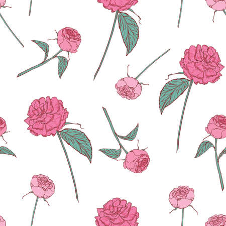Elegant floral seamless pattern with beautiful roses on white background. Gorgeous backdrop with pink flowers hand drawn in antique style. Botanical vector illustration for textile print, wallpaper.のイラスト素材