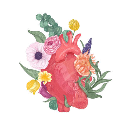 Realistic anatomical heart overgrown by blooming flowers and plants. Hand drawn on white background. Colorful vector illustration in vintage style for Valentine's day greeting card, party invitation.のイラスト素材