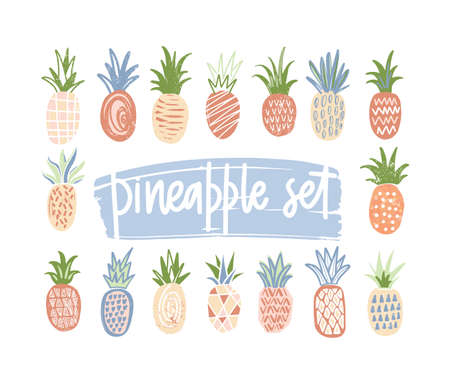 Bundle of hand drawn pineapples of different color and texture isolated on white background. Set of exotic tropical fresh juicy fruits. Colorful vector illustration in cartoon or doodle style.のイラスト素材