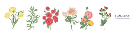 Set of blooming flowers and decorative flowering plants for floristics isolated on white background.  Vector illustration.のイラスト素材