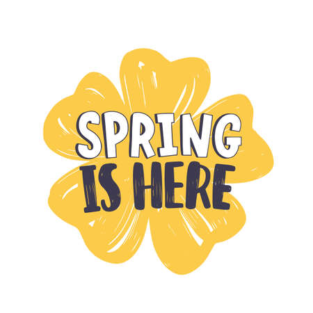 Spring Is Here phrase handwritten with modern calligraphic font or script on yellow blooming flower isolated on white background.のイラスト素材