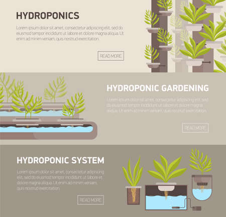 Collection of web banners with plants growing in pots with mineral solution and place for text. Hydroponic gardening systems advertisement or promotion. Colorful vector illustration in flat style.のイラスト素材