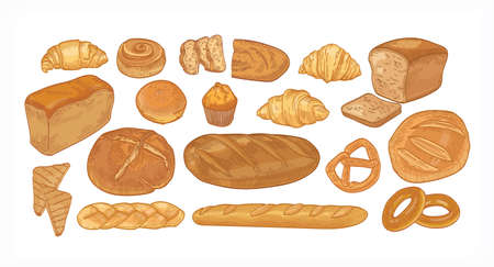Set of breads and baked products of various types, shapes and sizes isolated on white background - loaf, bun, croissant, toast, muffin, pretzel. Hand drawn vector illustration in vintage styleのイラスト素材