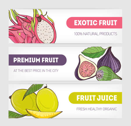 Set of horizontal banners decorated with pitaya or dragon fruit, fig and mango on white background and place for text. Vector illustration for veggie food products delivery service advertisement.のイラスト素材