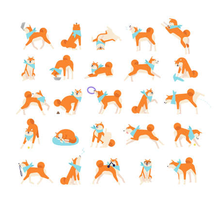 Collection of dog performing everyday activities on white background. Bundle of cute Japanese Shiba Inu pet eating, sleeping, playing, barking, howling. Flat cartoon vector illustration.のイラスト素材