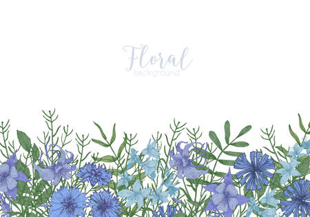 Rectangular background decorated with blue wild blooming flowers and meadow flowering herbs at bottom edge. Gorgeous decorative floral border. Natural realistic hand drawn vector illustration.のイラスト素材