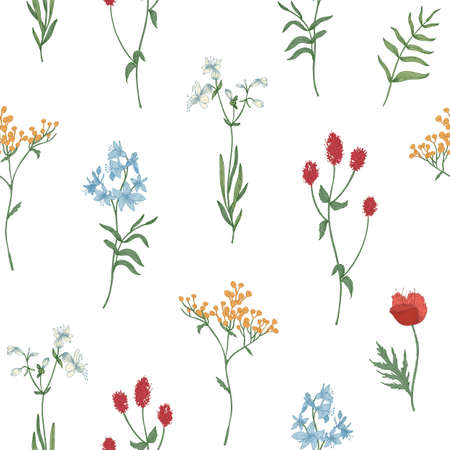 Floral seamless pattern with wild blooming flowers and flowering herbs on white backgroundのイラスト素材