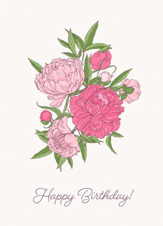 Birthday greeting card template with bunch of gorgeous blooming peony flowers hand drawn on white background. Elegant romantic flowering garden plants. Floral vector illustration in vintage style.のイラスト素材