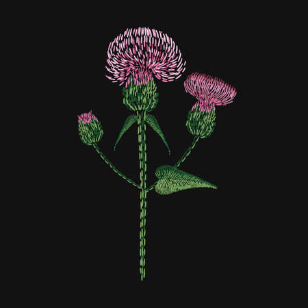 Blooming thistle flower embroidered with stitches on black background. Beautiful embroidery design with gorgeous wildflower or meadow herb. Fancywork, hand made work. Colored vector illustration.のイラスト素材