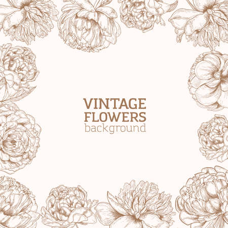 Square backdrop decorated with frame made of tender blooming peony flowers hand drawn with contour lines on light background. Elegant realistic botanical vector illustration in vintage style.のイラスト素材