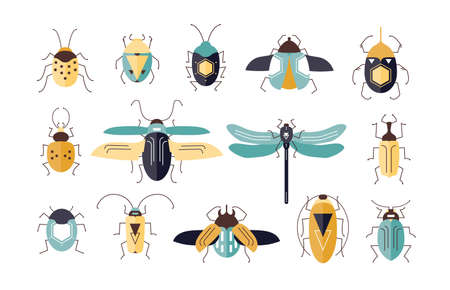 Bundle of different colorful geometric insects with wings and antennas isolated on white background - bugs, firefly, ladybug, cricket. Cartoon vector illustration in modern flat style.のイラスト素材