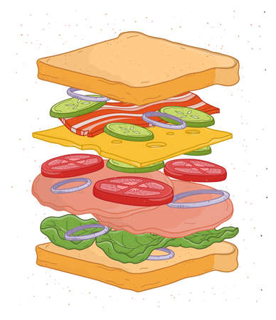Delicious sandwich with layers or ingredients isolated on white background - bread slices, vegetables, salad leaves, cheese, bacon, meat. Realistic drawing of fast food meal. Vector illustration.のイラスト素材