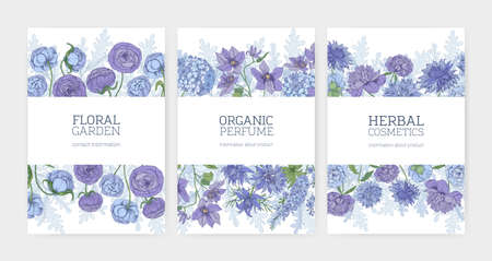 Collection of floral card or flyer templates for herbal cosmetics and natural organic perfume advertisement decorated by blooming blue and purple flowers and flowering plants. Vector illustration.のイラスト素材