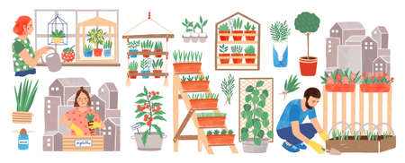 Urban gardening collection. People living in city cultivating plants, growing crops or vegetables in pots at home or on balcony isolated on white background. Colorful hand drawn vector illustrationのイラスト素材