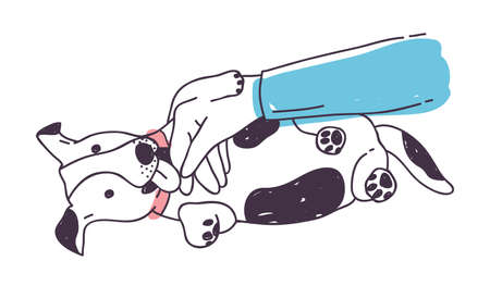 Cute dog playing with owner's hand and licking it. Funny playful puppy or doggy lying on floor isolated on white background. Adorable domestic animal or pet. Colorful hand drawn vector illustrationのイラスト素材