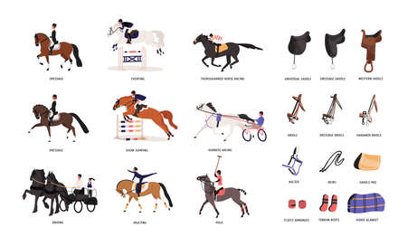 Collection of various horse gaits and tools for horseback riding or equestrianism isolated on white background. Beautiful competitive sport. Colorful vector illustration in flat cartoon styleのイラスト素材