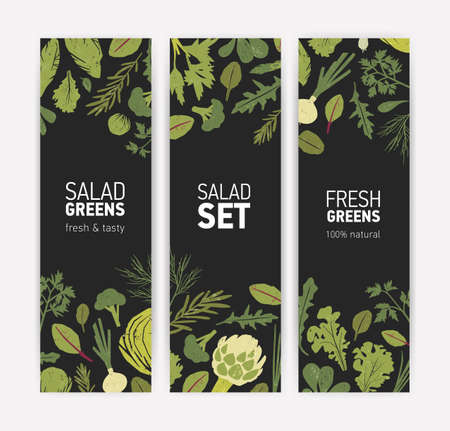 Bundle of vertical banner templates with fresh tasty salad leaves and spice herbs on black background. Vector illustration for natural vegetarian healthy food products advertisement, promotionのイラスト素材