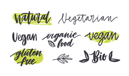 Set of labels with written inscriptions for gluten free, vegetarian, organic products, natural healthy food. Collection of tags isolated on white background. Colored hand drawn vector illustrationのイラスト素材
