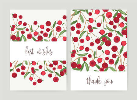 Collection of postcard templates with forest cranberries and leaves on white background and holiday wish. Bundle of cards decorated by ripe delicious boreal berries. Colorful vector illustrationのイラスト素材
