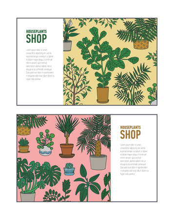 Bundle of horizontal banner or flyer templates with houseplants growing in pots and place for text. Vector illustration for home gardening store or plant cultivation shop advertisement or promotionのイラスト素材