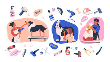 Collection of scenes with people grooming dogs and items for coat care. Women caring of domestic animals or pets - blow drying, cutting fur, washing. Colored vector illustration in flat cartoon style.の写真素材