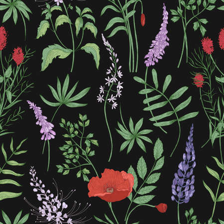 Floral seamless pattern with blooming meadow flowers on black background. Backdrop with wildflowers and flowering herbaceous plants. Realistic hand drawn vector illustration in elegant antique style.の写真素材