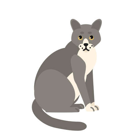 Cute pensive grey cat isolated on white background. Funny domestic animal or pet. Adorable sitting kitty or pussycat, lovely furry friend. Colorful vector illustration in flat cartoon styleのイラスト素材