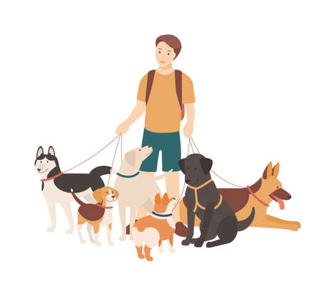 Happy boy walking his purebred dogs on leash. Young smiling guy standing with domestic animals. Cute funny pet owner isolated on white background. Colorful flat cartoon vector illustrationのイラスト素材