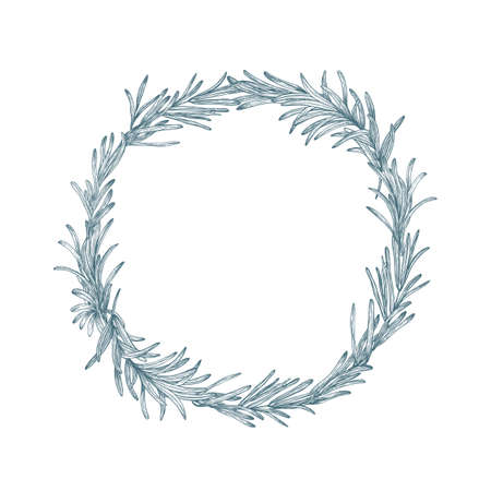 Circular decoration or wreath made of rosemary hand drawn with contour lines on white background. Decorative frame consisted of aromatic culinary herb or condiment. Botanical vector illustrationのイラスト素材