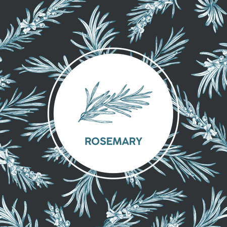 Round label decorated by rosemary sprig drawn with contour lines. Circular tag with aromatic spicy culinary herb or condiment. Botanical realistic vector illustration hand drawn in vintage styleのイラスト素材