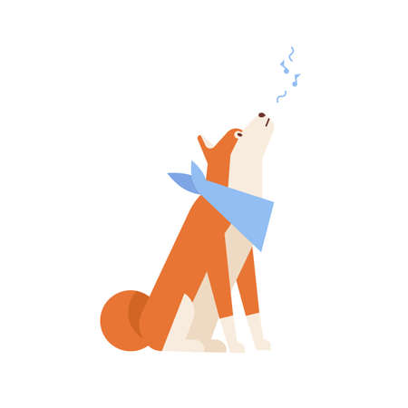 Adorable Akita Inu howling or singing song. Melancholic Japanese dog wearing neck scarf isolated on white background. Daily activity of domestic animal or pet. Flat cartoon vector illustrationのイラスト素材