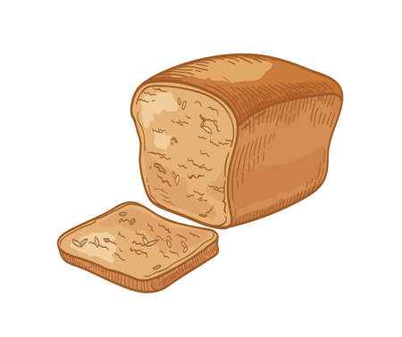 Whole grain bread and slice or toast isolated on white background. Realistic drawing of delicious...