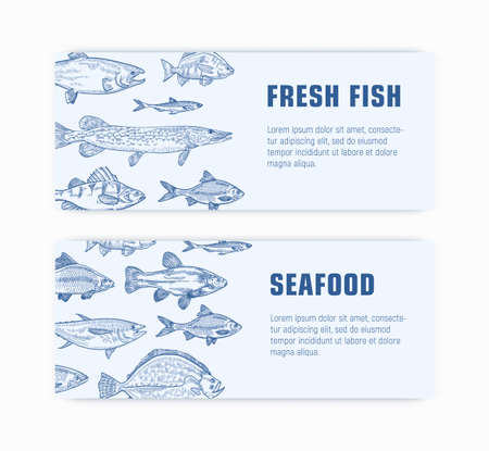 Collection of monochrome web banner templates with fish hand drawn with contour lines on light background and place for text. Elegant realistic vector illustration in vintage style for advertisementのイラスト素材