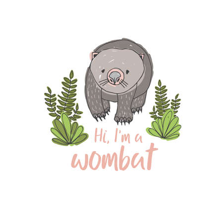Wombat isolated on white background. Hand drawn portrait of cute wild marsupial animal and funny phrase. Exotic species, endemic fauna of Australia. Colorful vector illustration for apparel printのイラスト素材