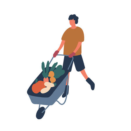 Farmer transporting vegetables flat vector illustration. Young rancher cartoon character. Man pushing trolley with raw veggies isolated on white background. Seasonal farming chores, agriculture.のイラスト素材