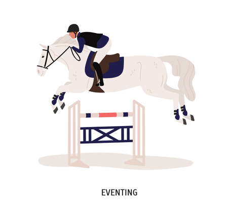 Eventing, equestrian competition flat vector illustration. Horse rider, horseman cartoon character. Equestrian show, performance. Horse jumping over barrier isolated on white background.のイラスト素材